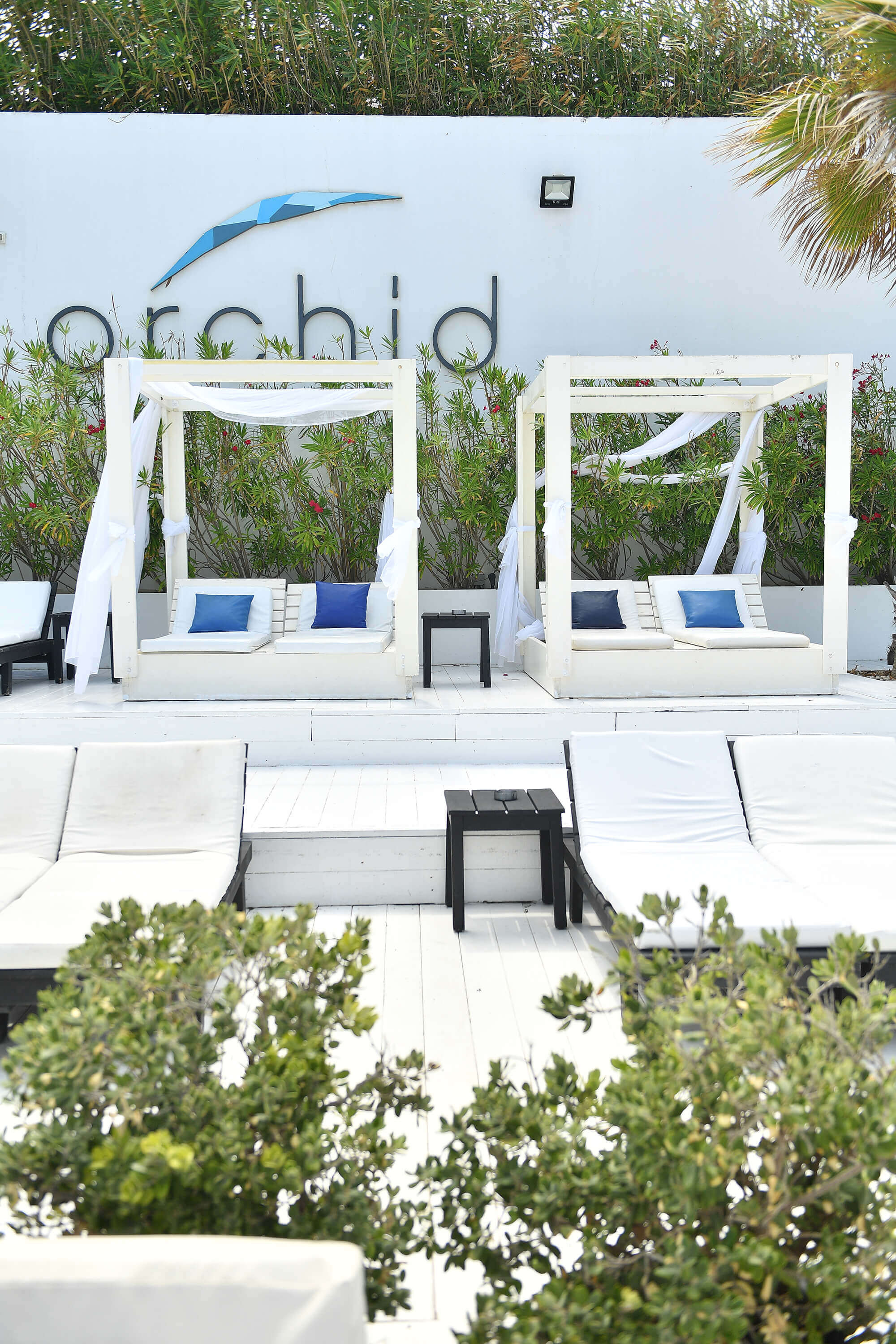 THE AMBIANCE & SETTINGS